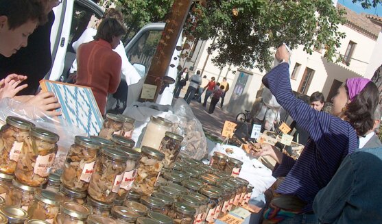 Festa del Bolet i de les Herbes Remeieres a Castellterçol