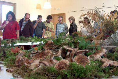 Visitants a l'Exposició
