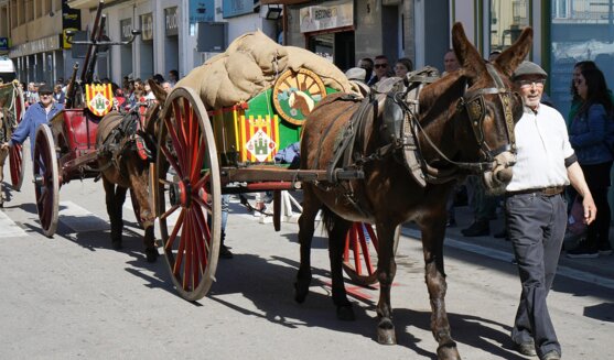 Festa dels Carreters de Sant Vicenç de Castellet