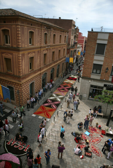 Una de les catifes de clavells