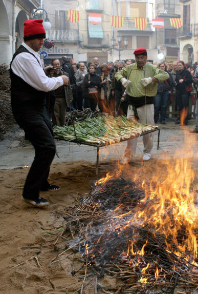 Posant els calçots al foc