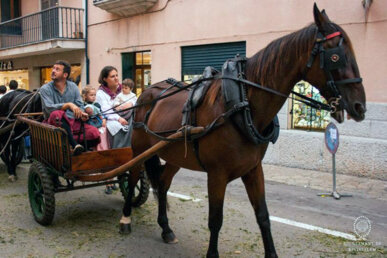 L'arribada del raïm