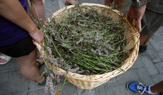Festa Major de Falset
