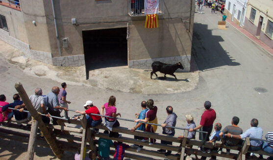 Festes de Sant Isidre Llaurador a Alcanar