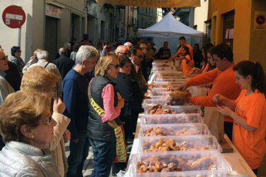Repartiment de brunyols