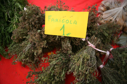 Farigola