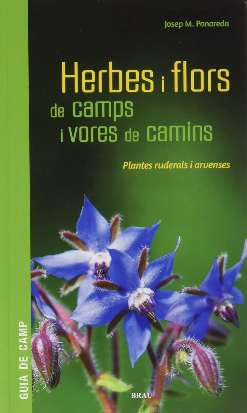 Herbes i flors de camps i vores de camins. Plantes ruderals i arvenses
