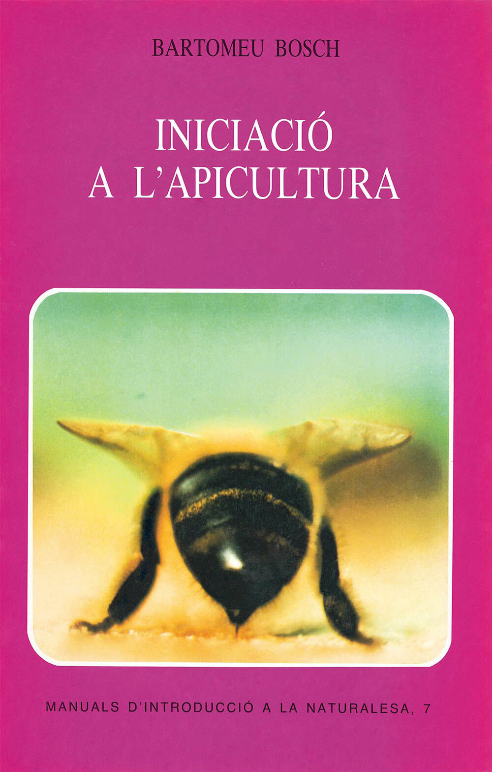 Iniciació a l'apicultura