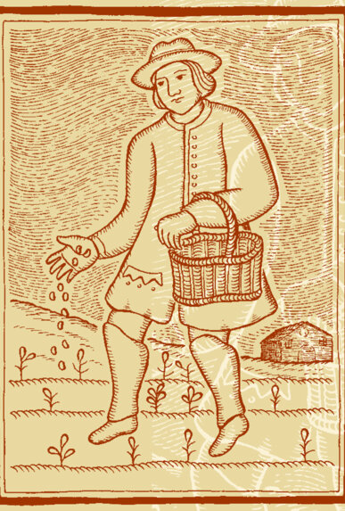 Il·lustració del pagès Medir