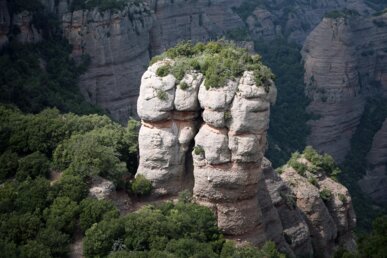 La llegenda del drac de Sant Llorenç del Munt