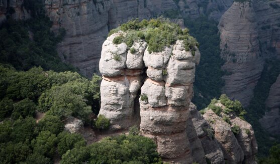 La llegenda del drac de Sant Llorenç del Munt