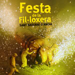 Festa de la Fil·loxera. El DVD