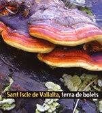 Sant Iscle de Vallalta, terra de bolets