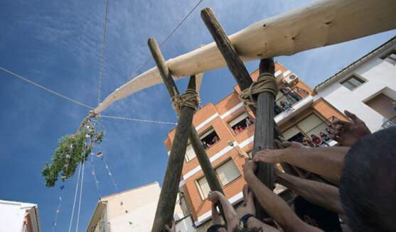 Festes del xop a El Palomar
