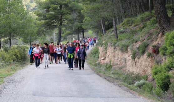 Romeria a la Fontcalda