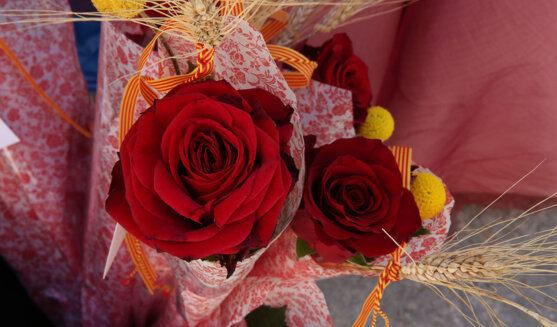 La rosa