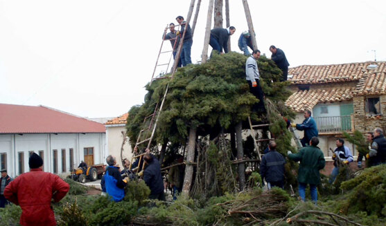 Santantonada de Cinctorres