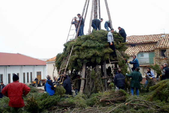 Galeria principal
