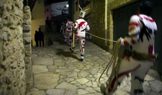 Santantonada de la Todolella