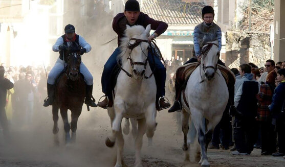 Festa de Sant Antoni a Ascó
