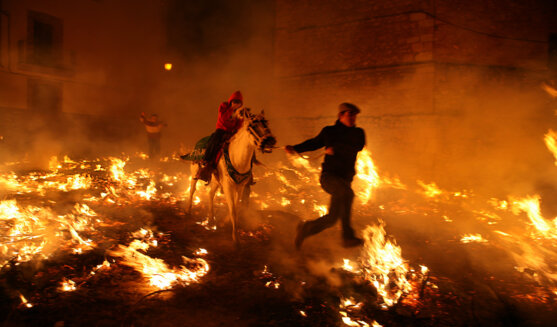 Festa de Sant Antoni a Vilanova d'Alcolea