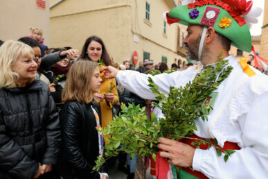 Repartiment de murta