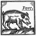 Cuina del porc i els embotits