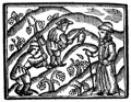 Viticultura