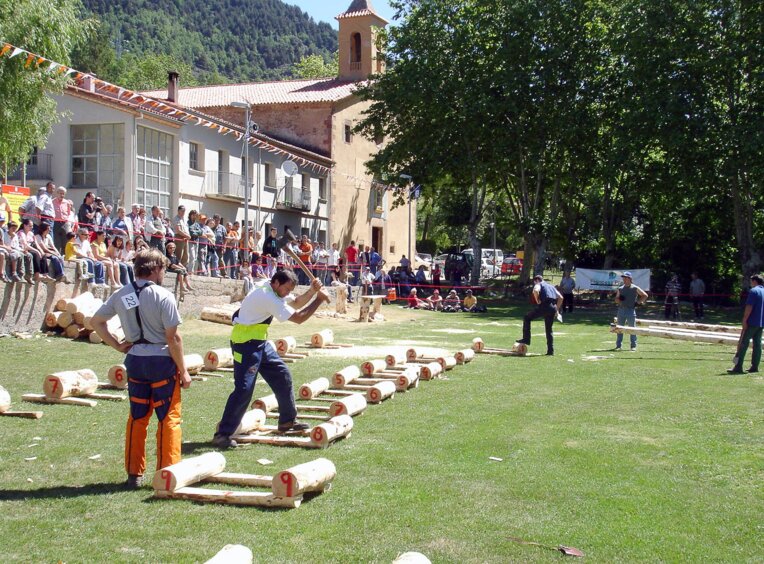 Tallada de Troncs de Vallfogona de Ripollès