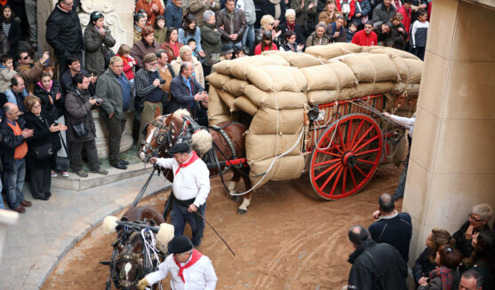 Festa dels Tres Tombs de Valls